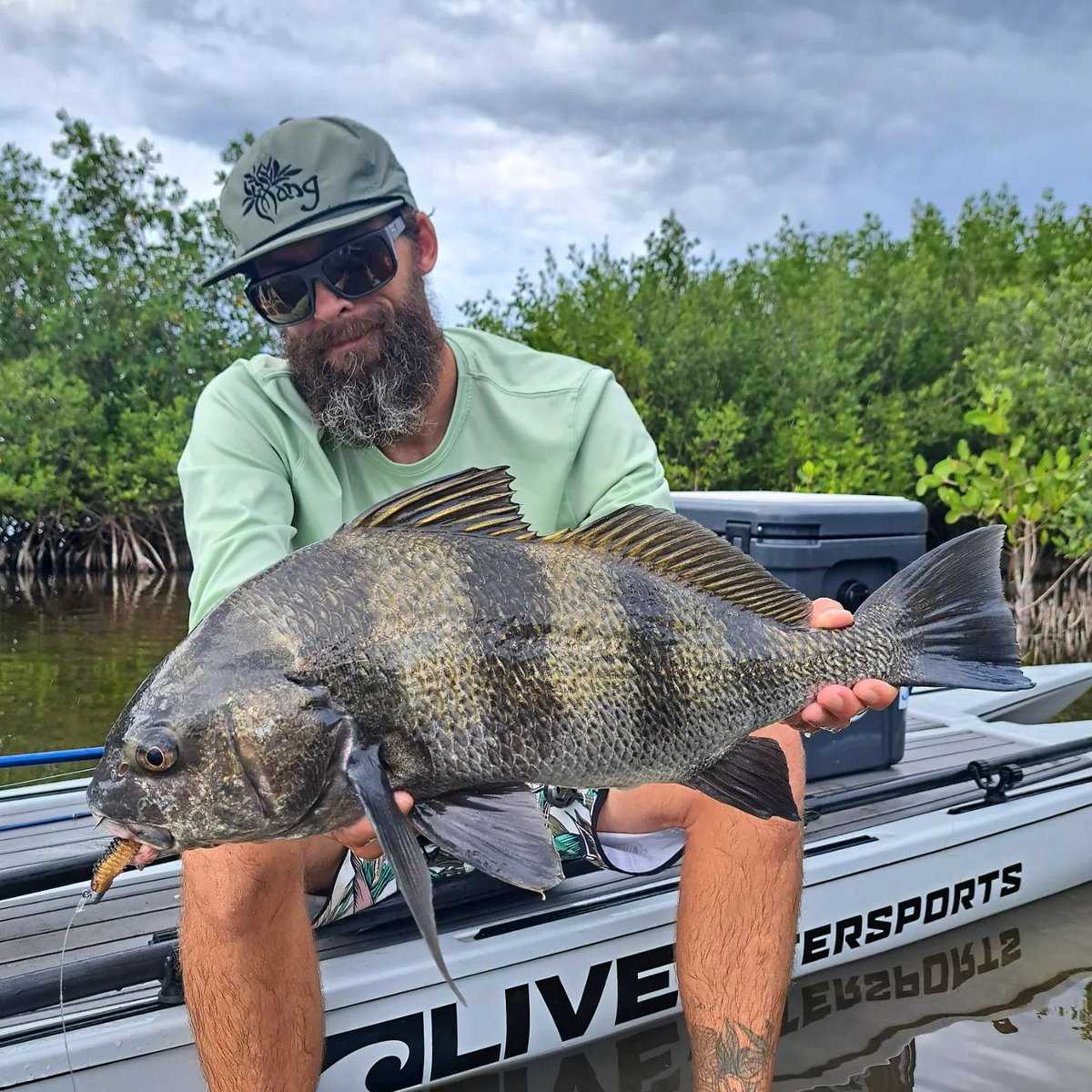 Chasebaits tweet media