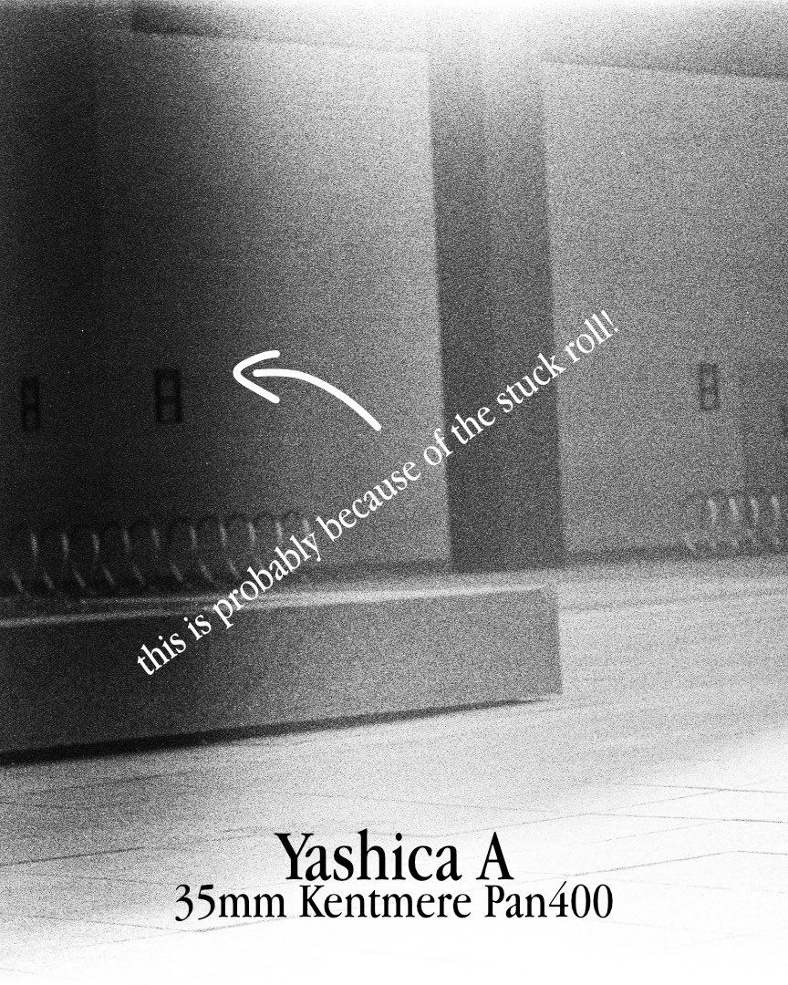 sheelios's tweet photo. #experimentalphotography #filmphotography #kentmere400 #yashicaA https://t.co/MFs9GZymdG