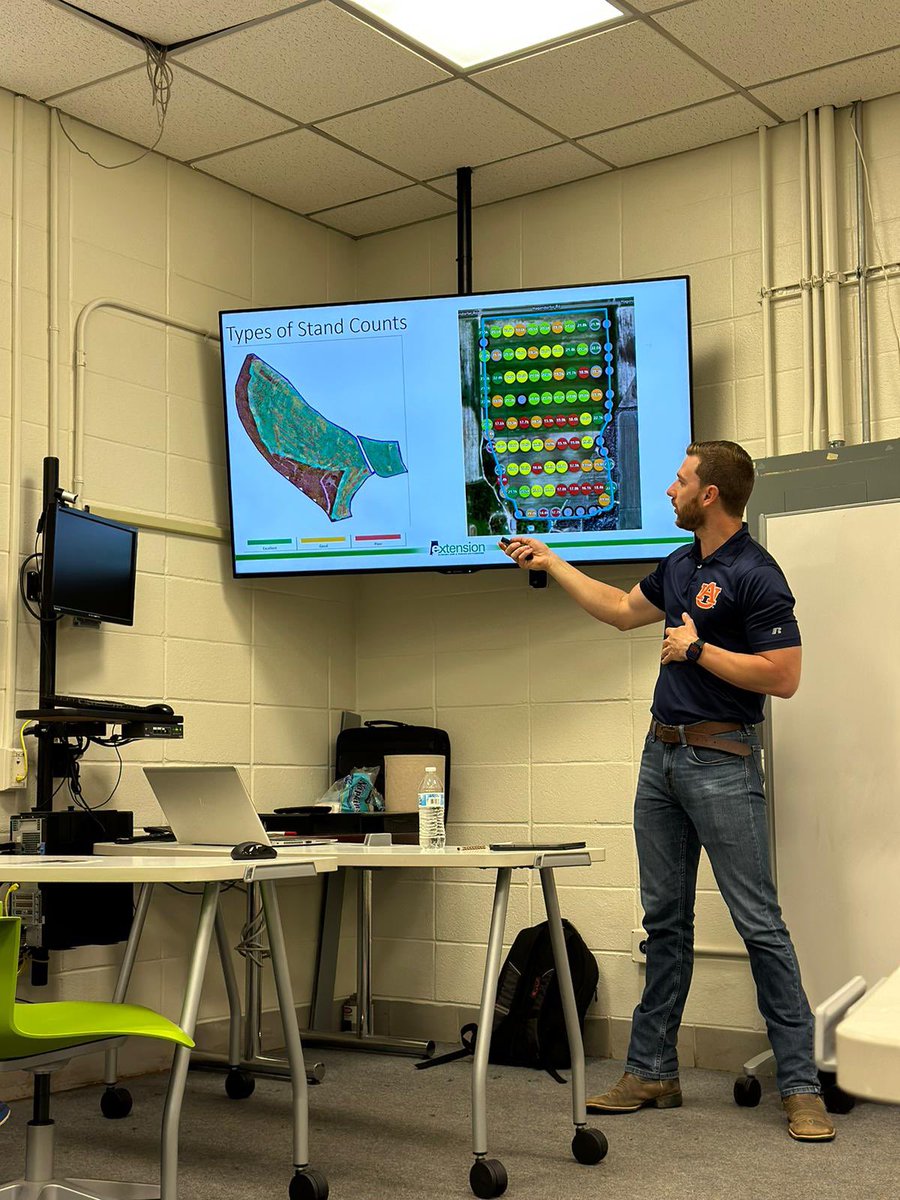 Guilherme Morata tweet media