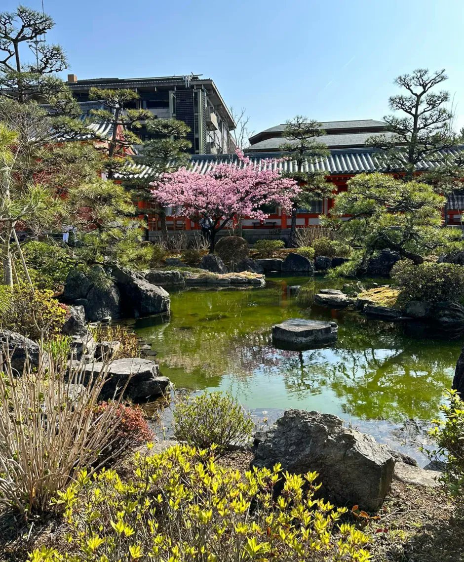 We were so thrilled to be on location in Japan these last several weeks! Many thanks to our gracious hosts, Four Seasons Hotel Kyoto. 

#instatravel #japan  #luxurytravel #abercrombiekent #ancientculture #allinclusive #tourism #wanderlust #VisitLisbon #letstravel #passport