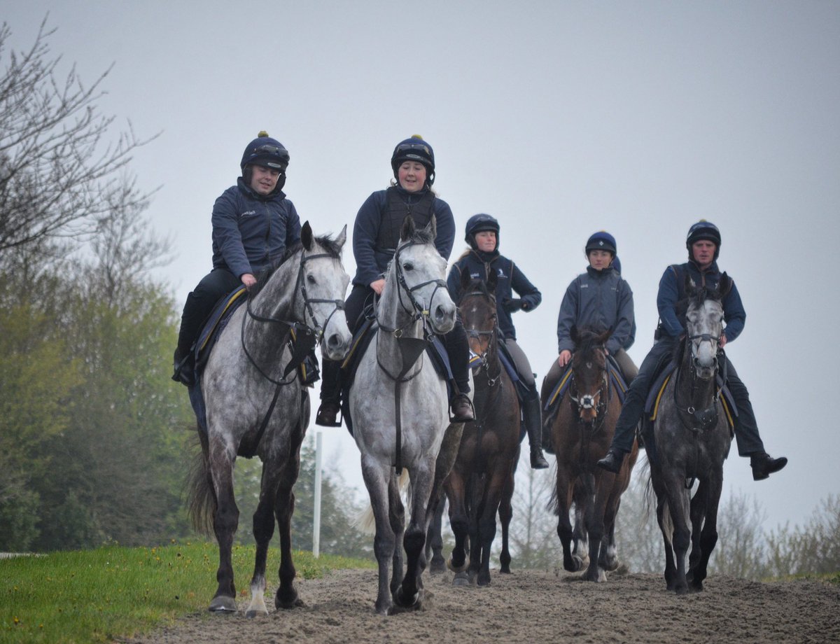 oneill_racing's tweet photo. First lot making their way to the bottom to the gallops this morning https://t.co/7GxGbiBqBE