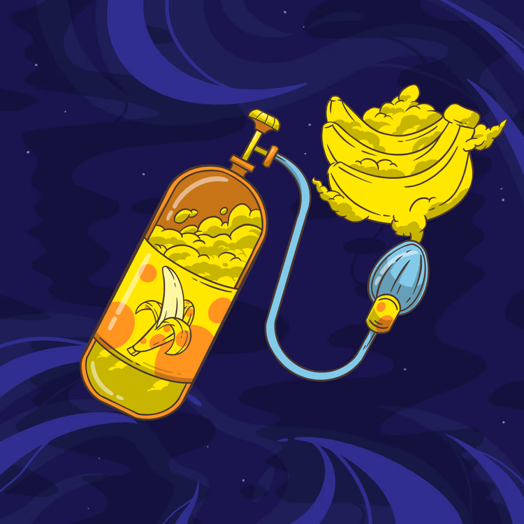 ArtsMarje's tweet photo. Nice reveal for my #FunPacks
8 Communication Device
4 Candy Blaster
6 Funana Flavored Oxygen Supply
1 Primate Explorer
1 Apemergency Crate
43 multiplier in total
#FunApesNFT @FunApes_NFT https://t.co/ROZRWHhzfz