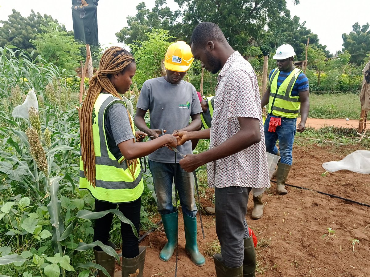 elhadjham's tweet photo. Le secteur #privé doit prendre ses responsabilités en investissement dans le domaine de l'#agriculture afin de tirer profit des grandes réalisations orientées vers le décollage de notre agriculture : #APRODAT, ouverture des marchés, facilité de subventions, formations. #Denyigban https://t.co/kb2rmLKxqX