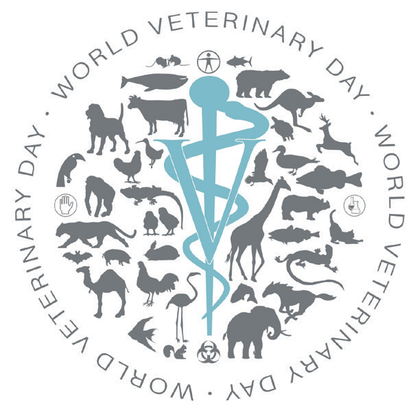officialPatient's tweet photo. 1.... The theme for World Veterinary Day 2023 is "Promoting Diversity, Equity, and Inclusiveness in the Veterinary Profession." on Sunday, 30th April 2023, I will be hosting a webinar celebrating World Veterinary day 2023, and everyone is invited. (Joining details and link soon https://t.co/gvWp1O4mtl