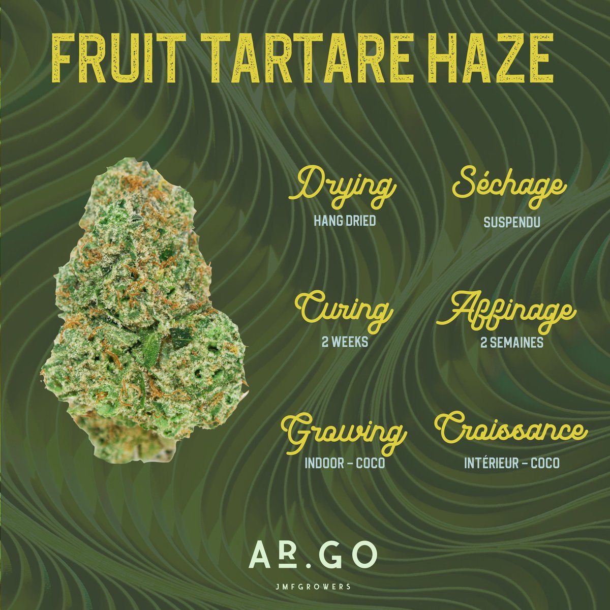 As its name suggests, Fruit Tartare Haze offers fruity/lemon flavours that are due to its Zkittlez genetics. A complex bouquet of flavours with a main base of pineapple, lemon zest and exotic fruits ! 

#cannabisindustry #CannabisCommunity #MondayFunday