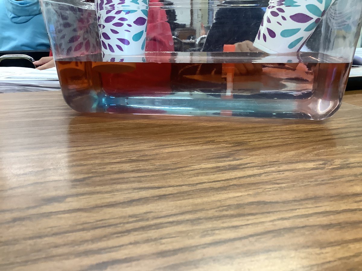 MrsPollari_EBMS's tweet photo. Modeling Ocean Currents with Temperature! The COLD blue water moved the currents in a downward direction and the WARM red water moved the currents in an upward direction! Check out those layers! @EastBrookMS https://t.co/XtmPwiQq3A