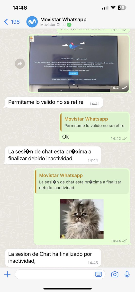 nelsoncerdag's tweet photo. Hay algo más malo que el soporte de Movistar por WhatsApp?? @AyudaMovistarCL https://t.co/8o6EqNYePf
