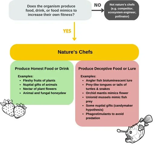 NC State Applied Ecology (@ncstateaec) on Twitter photo New #AECPublication by a large interdisciplinary team at AEC and beyond, "Nature's chefs: Uniting the hidden diversity of food making and preparing species across the tree of life" in <a href="/AIBSbiology/">American Institute of Biological Sciences</a> academic.oup.com/bioscience/adv… New #AECPublication by a large interdisciplinary team at AEC and beyond, "Nature's chefs: Uniting the hidden diversity of food making and preparing species across the tree of life" in <a href="/AIBSbiology/">American Institute of Biological Sciences</a> academic.oup.com/bioscience/adv…