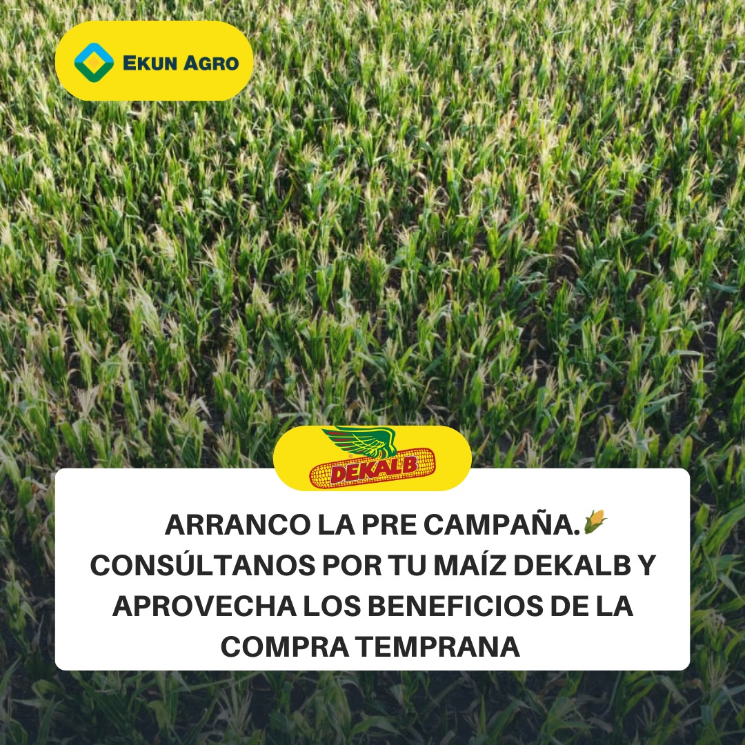 Arranco la pre campaña, consúltanos por tu maíz <a href="/DekalbArgentina/">DEKALB Argentina</a>