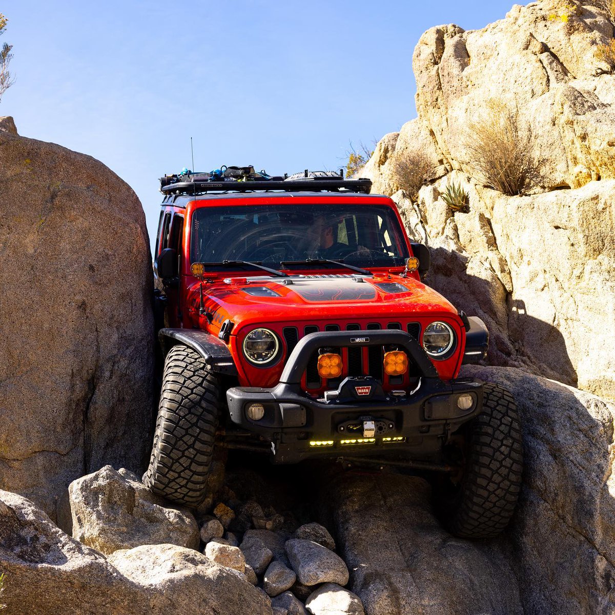 @redquatquat Show'n us how its done

#anzaborrego #pinyonmountaintrail #jeep #badgeofhonor #california #overlandbound #jeep #jeeplife #jeepwrangler #metalcloak #cloakedrepublic #wranglernation #jeepsofinstagram #itsajeepthing #madeinamerica #rubicon #jeeplove #offroading