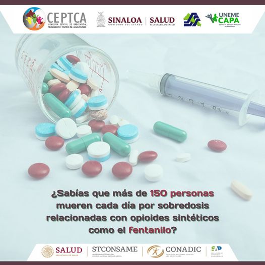 CapaGchil's tweet image. Los opioides sintéticos y, específicamente el fentanilo, son las sustancias que han estado más frecuentemente involucradas en las muertes por sobredosis. Ya que pueden ser mortales incluso en pequeñas dosis.

#Fentanilo #Adiciones #Sinaloa #Prevención #CEPTCA