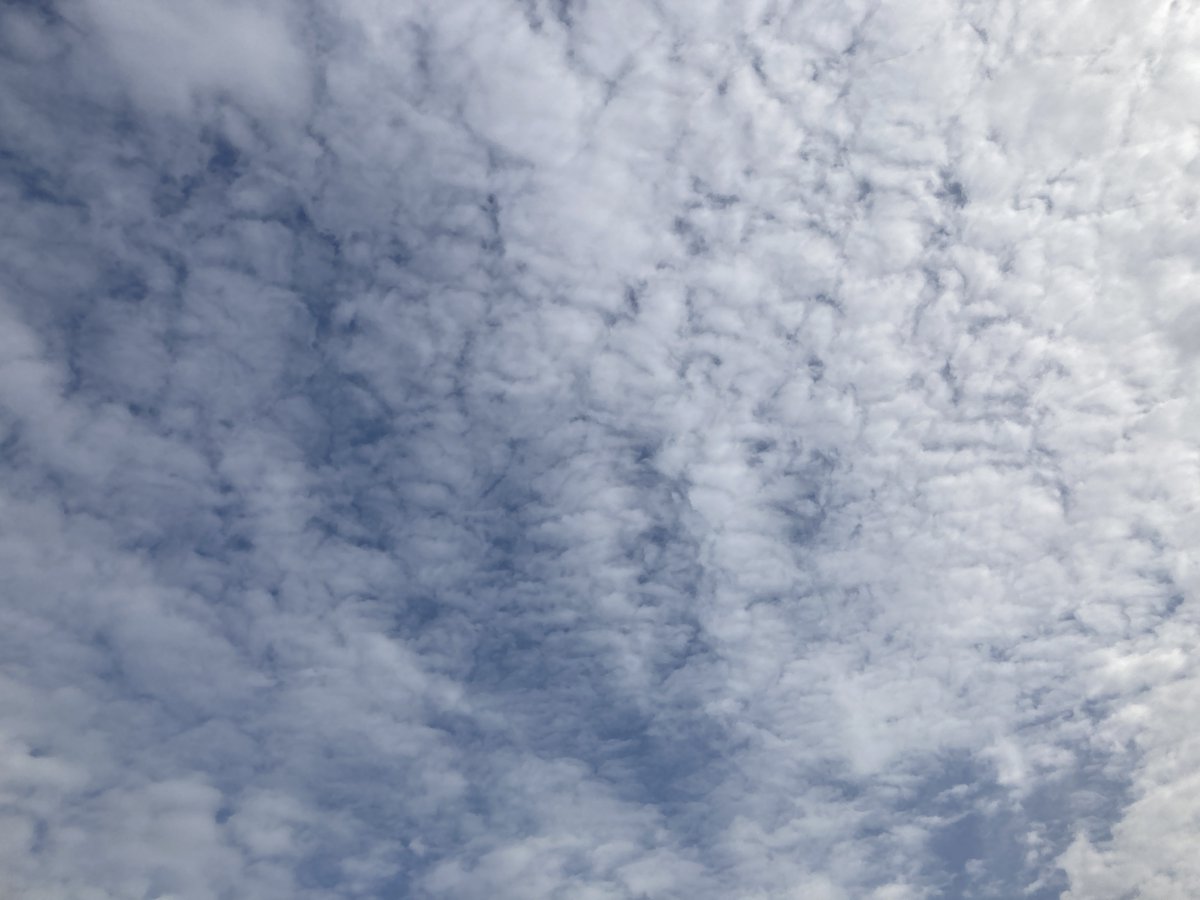 MartinCountySchoolsNC tweet media