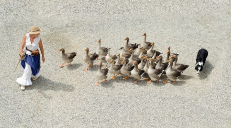 yaron_gol's tweet photo. Herding Behavior on the Stock Market
https://t.co/TnNG8MnVX5
We implement the CSAD model and identify cases of herding behavior on the stock market for the period from January 1st, 2020 to April 19th, 2023.
#stocks #stockmarket #stocktrading #investing #herdingbehavior https://t.co/rivr04G2UW