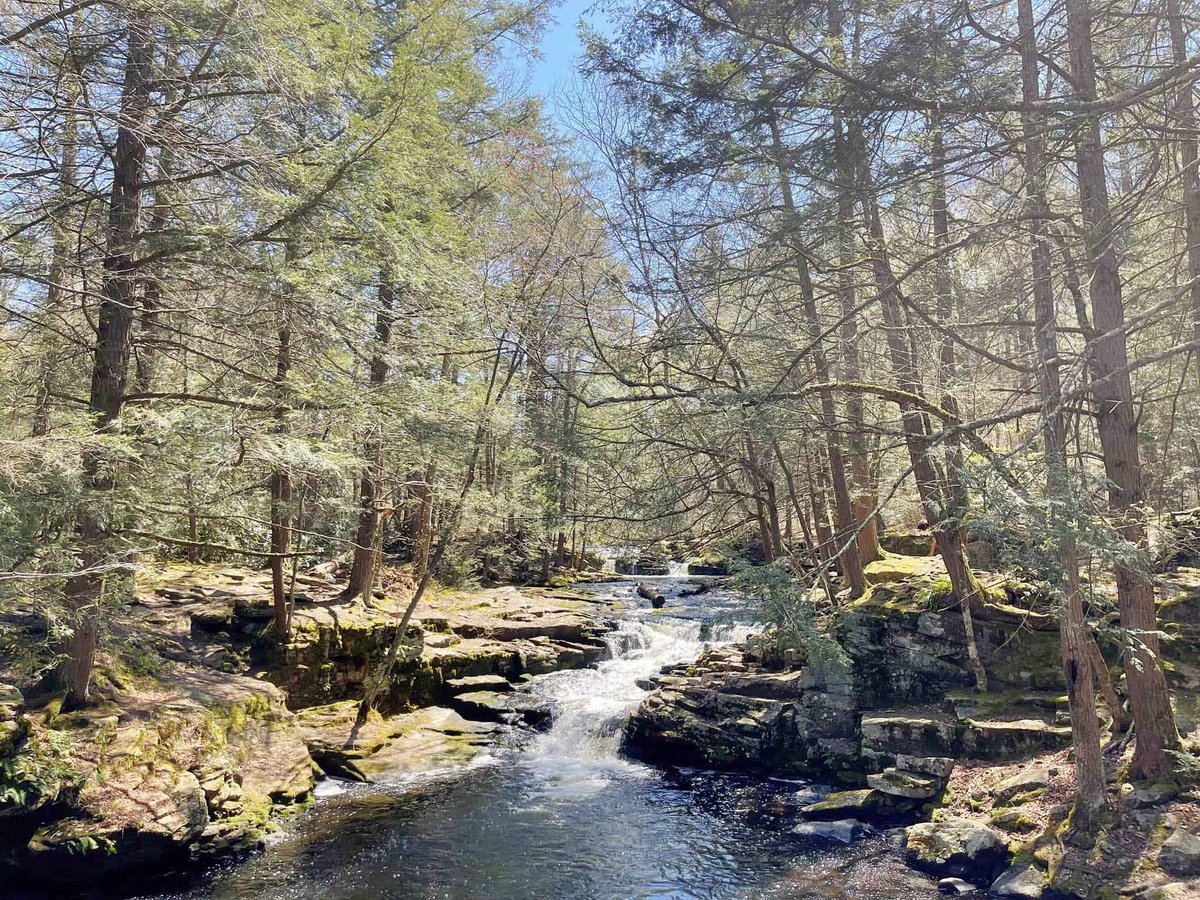 DCNRnews's tweet photo. Exploring numerous waterfalls along the East Branch of the Wallenpaupack Creek, the Little Falls Trail is great for a short spring walk at #PromisedLandStatePark. #PaStateParks #SpringInPa #GetOutdoorsPa https://t.co/0jtlTWHHpv