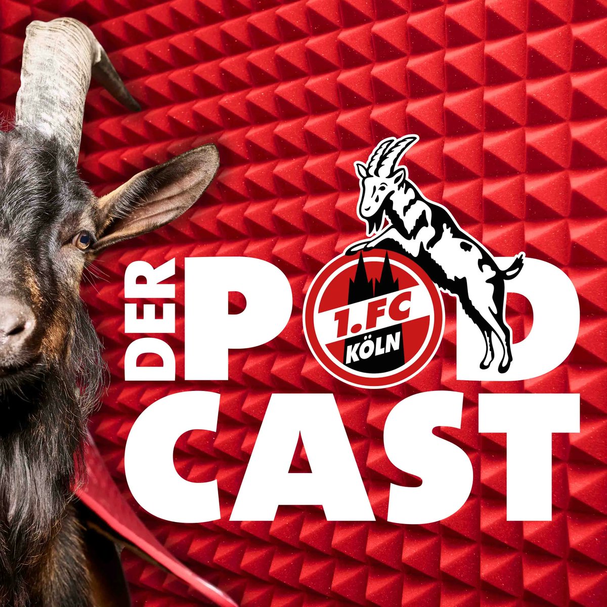 1. FC Köln tweet media
