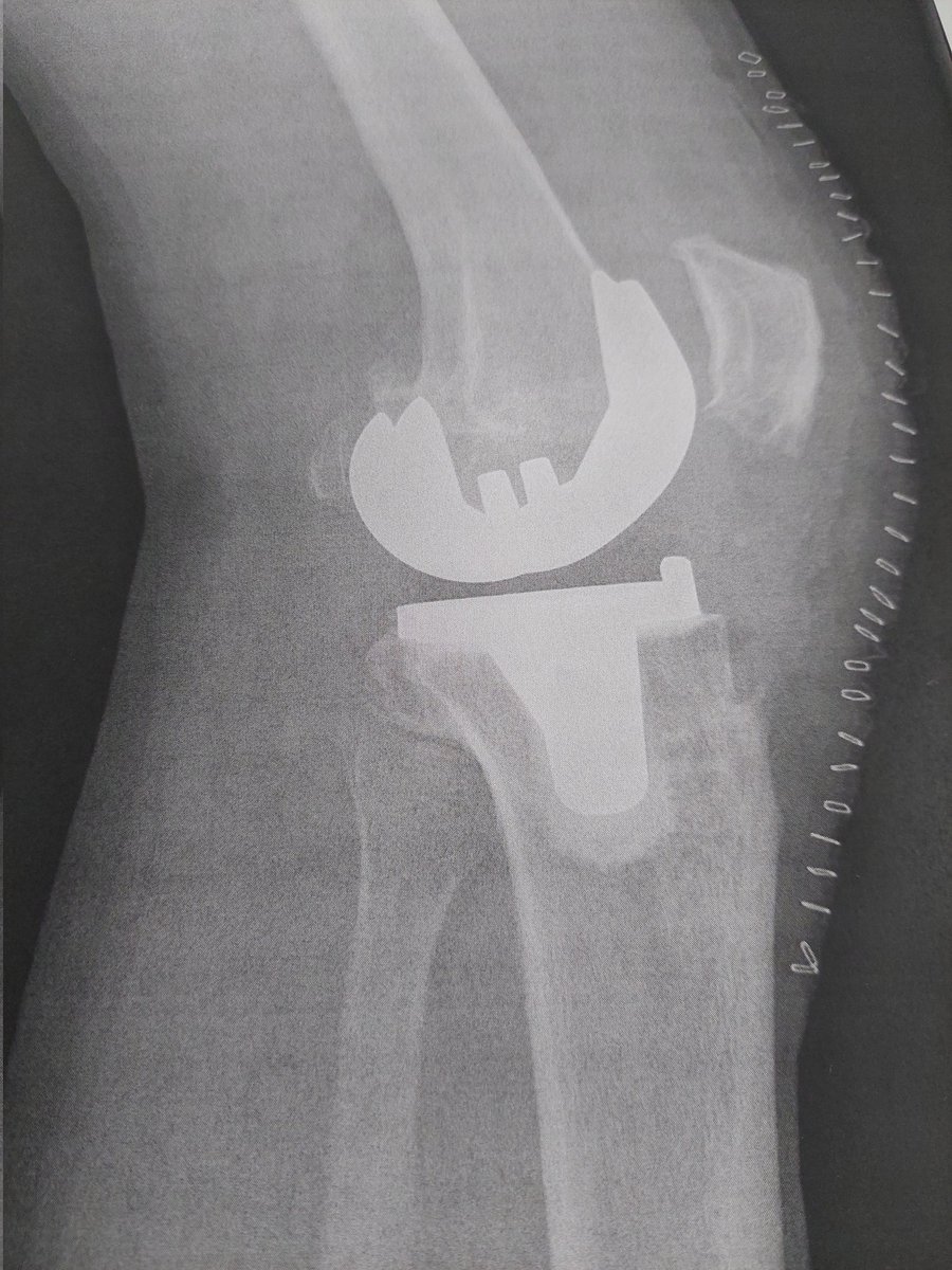 stephen walsh tweet media