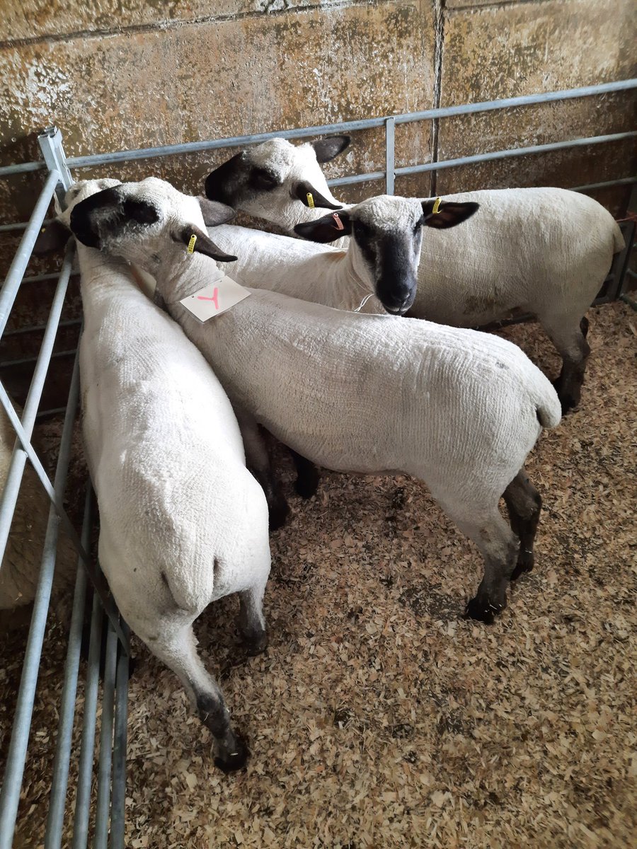 John Craig tweet media