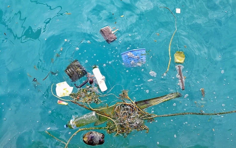 nramkarran's tweet image. Surprising #creatures lurk in the #GreatPacific #GarbagePatch trib.al/70Ck7fc