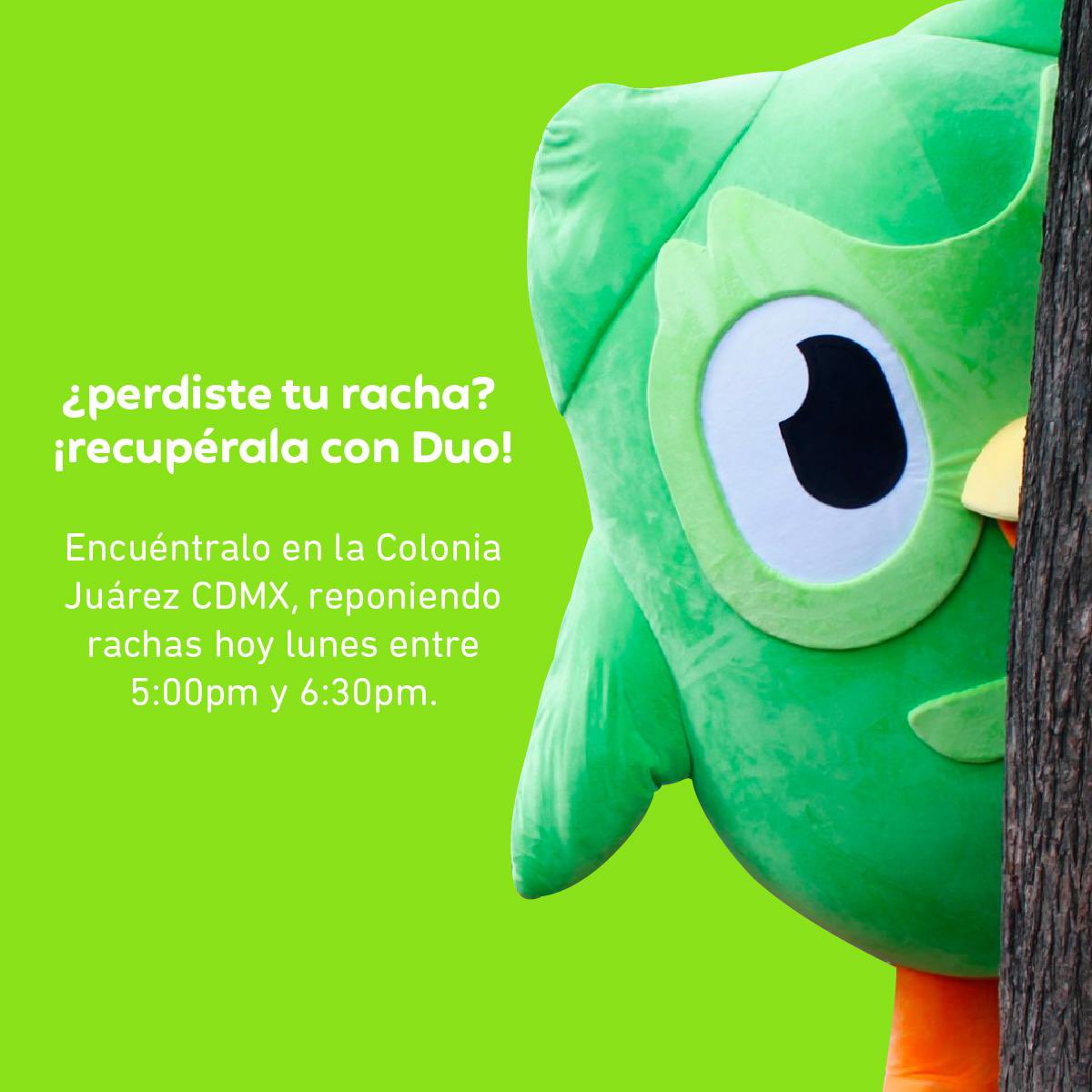 Duolingo Español on X: Si estás en CDMX, Duo te dará una segunda  oportunidad. Repara tu racha solo por hoy.  / X