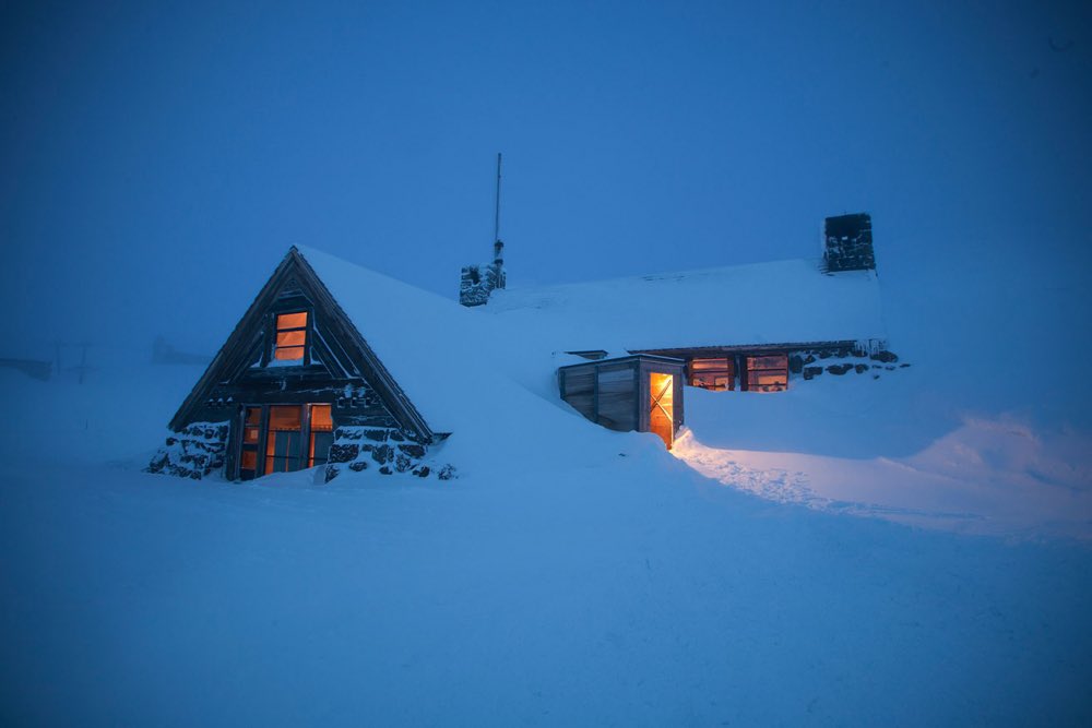 Tomasina tweet media