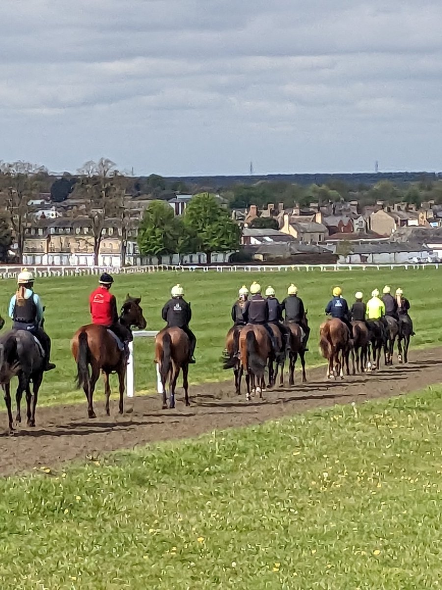 alanlong13746's tweet photo. What a great morning on Warren Hill In Newmarket watching the  horses
I can certainly Recommend Phil's Snacks for a Bacon and Egg roll. The Best Bacon rolls in Newmarket https://t.co/TB8mPWxAPm