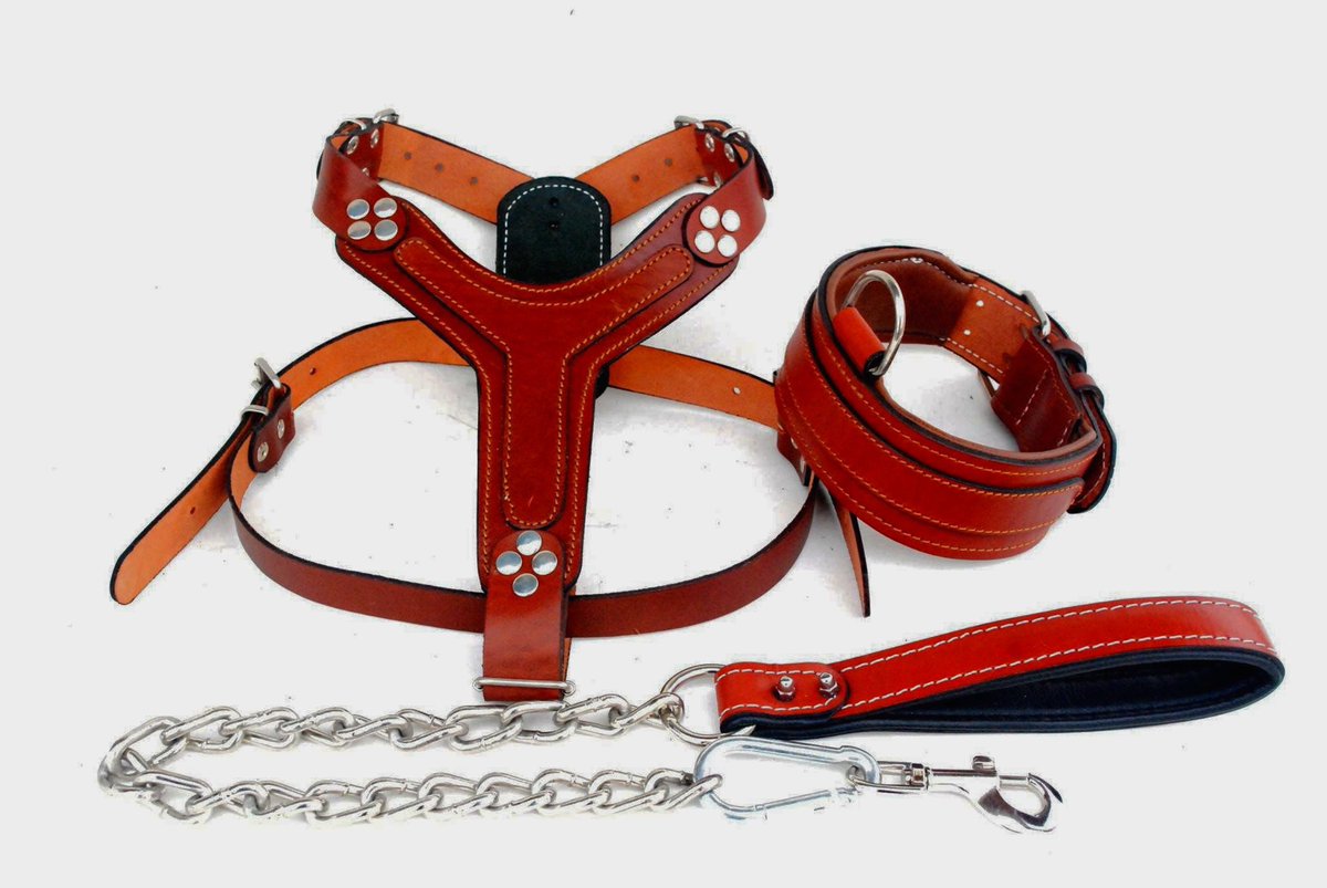 Excited to share the latest addition to my #etsy shop: Ruby Coral Genuine Buffalo Leather Padded Dog Harness Leash Collar set S/M/L/XL etsy.me/41D7M6K #red #christmas #solid #flat #no #traditionalbuckle #dog #leatherdogcollar #terrierdogcollar