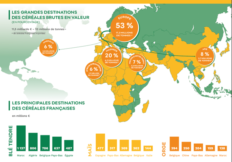 Oui la France est grande exportatrice de blé, partout dans le monde.
Au-delà de la balance commerciale, la filière céréalière représente 540 000 emplois non délocalisables et participent à la vitalité de nos territoires et au maintien du tissu social.
#SurLeFront