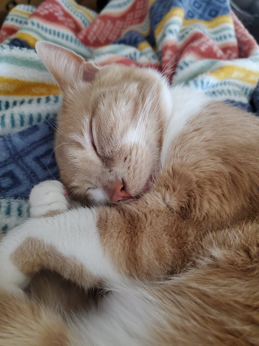 mom2milo tweet media