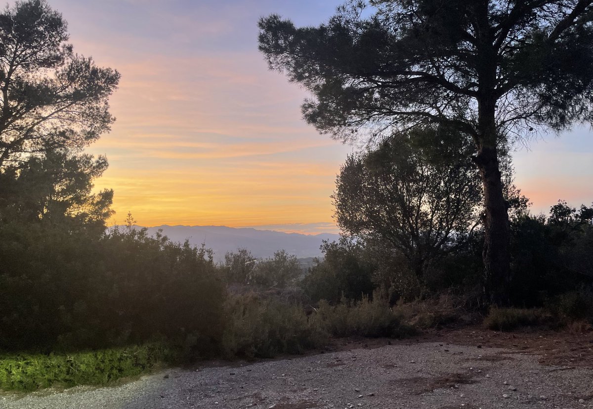 AlisPrades's tweet image. Una volta més al sol, i espero moltes més en la gent que m’aporta i suma. Gràcies els que us heu recordat i perdut uns minuts💙🥳 #unanymésdiferent #setembre2023🔵