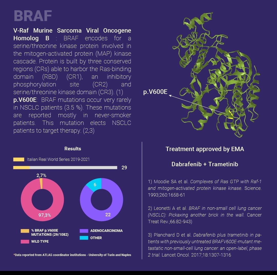 DrAmirAAhmed9's tweet photo. #BRAFgene #NSCLC #lungcancer #cancergenetic #Kccc #NGSlab #CancerResearch https://t.co/RzPouQLel5