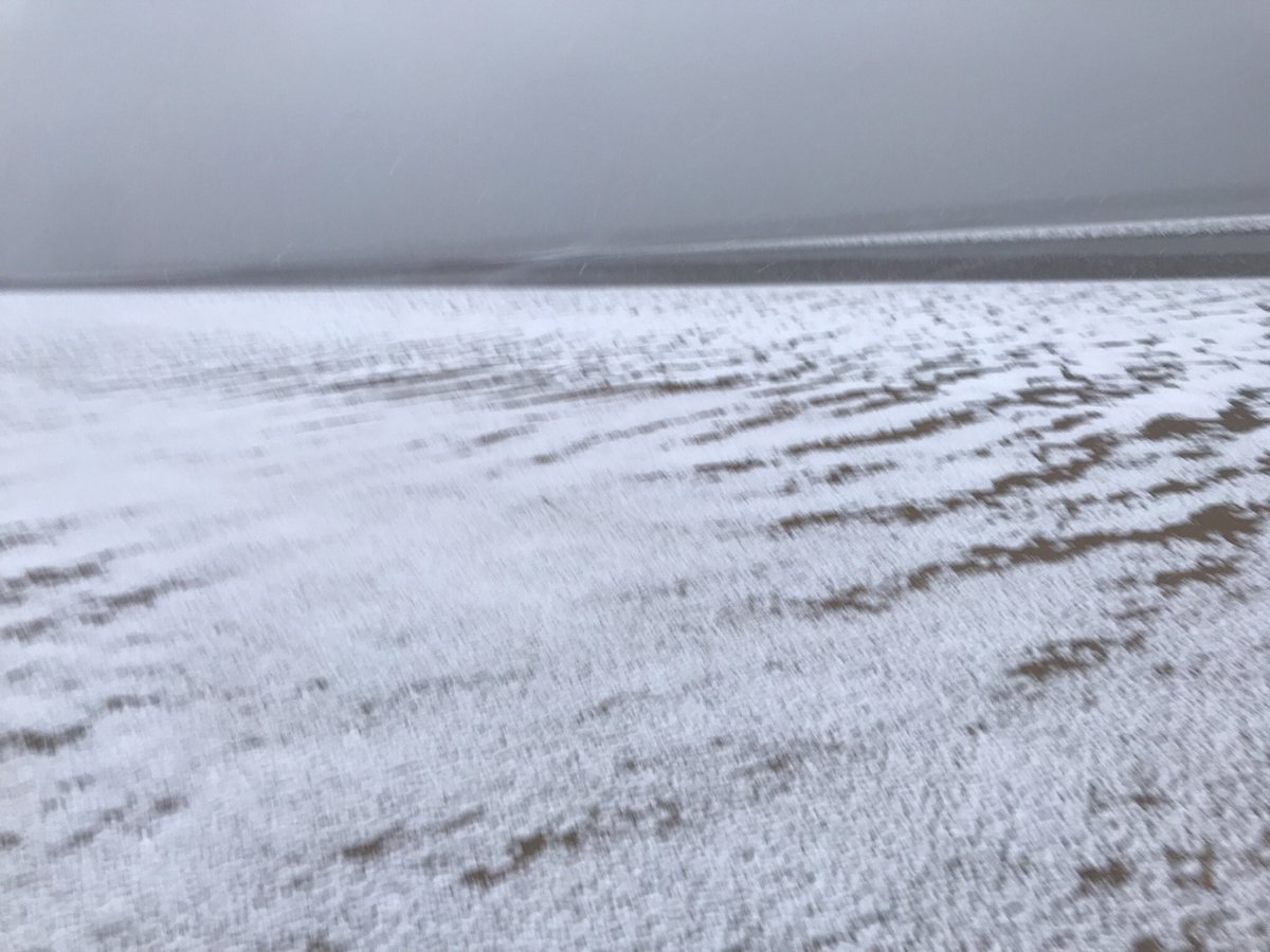 BirdingBrussels's tweet photo. Lβhiver est mon domaine | Il y a quelques semaines en Mer du Nord, une expΓ©rience unique et bouleversante et, vues les projections climatiques, malheureusement, probablement lβexpΓ©rience dβune vie #SaveWinter https://t.co/gRa3poy8pc