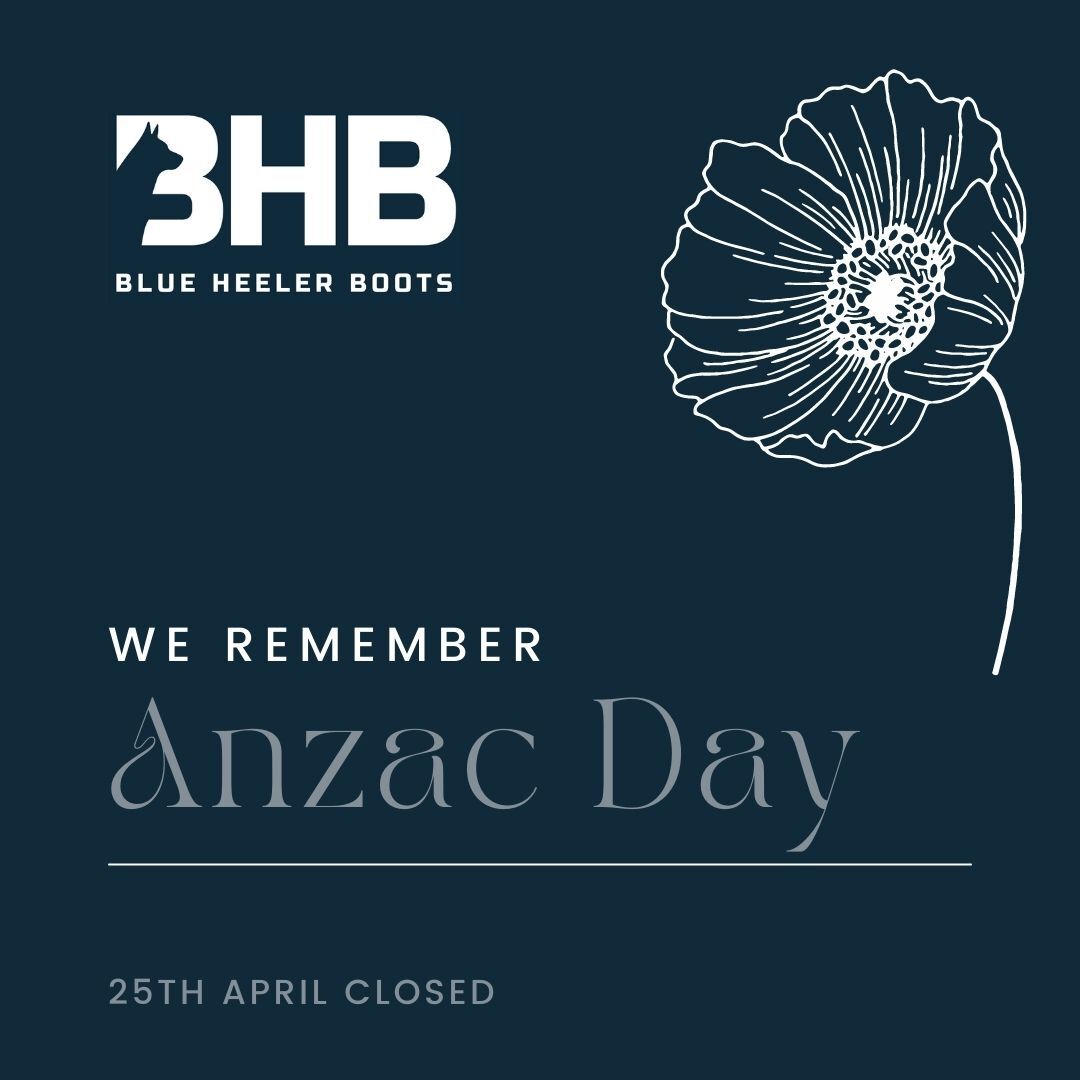 They shall grow not old, as we that are left grow old; Age shall not weary them, nor the years condemn. We will remember them.

#anzacday2023 #blueheelerboots
