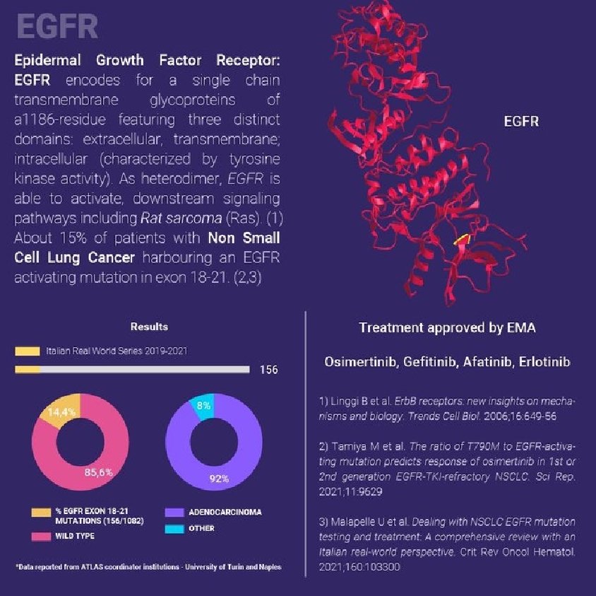 DrAmirAAhmed9's tweet photo. #EGFR #NSCLC #CancerResearch #Cancergenetic #NGSlab #KCCC #lungcancer https://t.co/xQKLQVJAAK