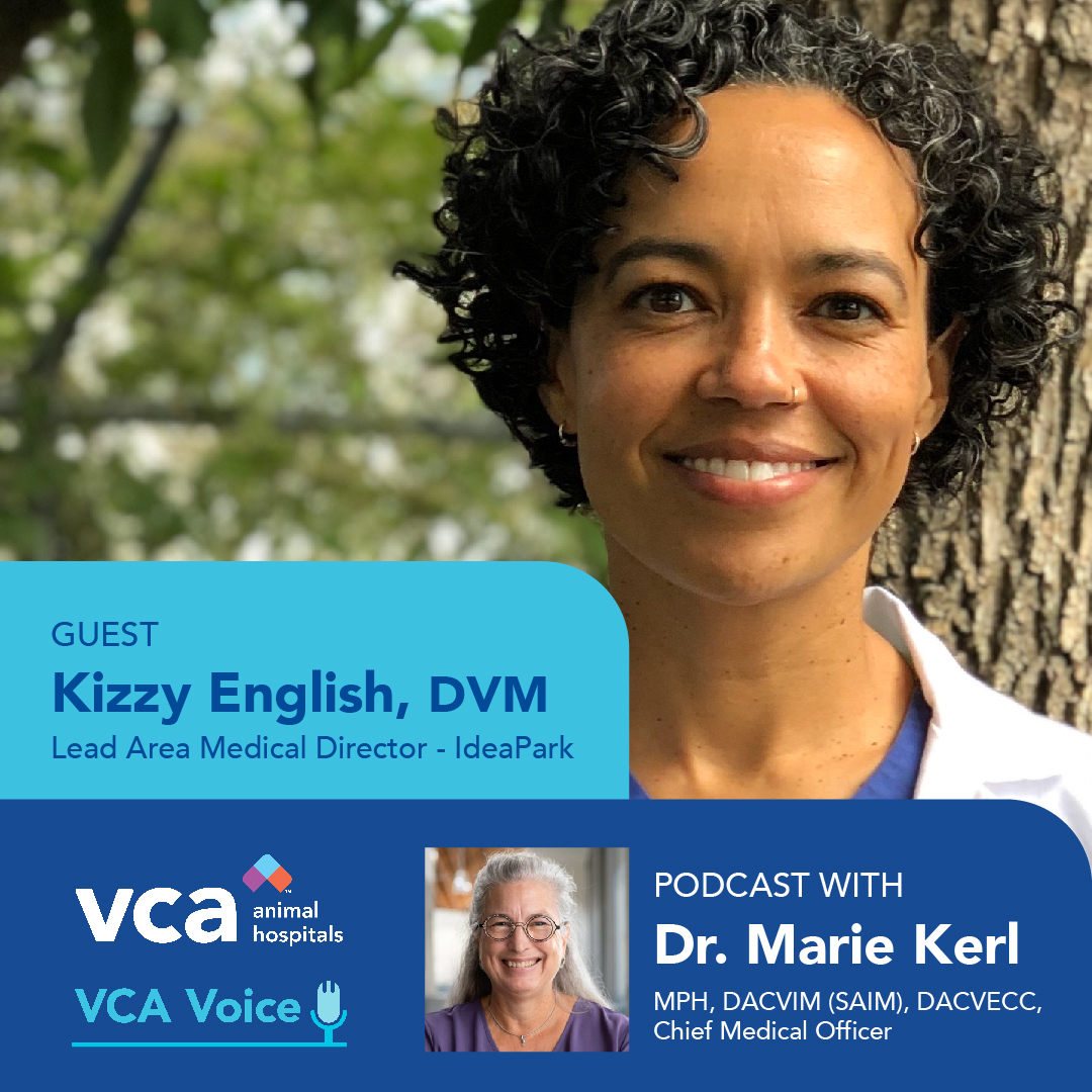 "Urgent Care is its own, special, unique place to be," says Dr. Kizzy English, medical director.

This week on the #VCAVoice #veterinary #podcast:  Dr. English shares how urgent care is expanding our capabilities -- while extending our mission.

LISTEN:  vca.mobi/podcast