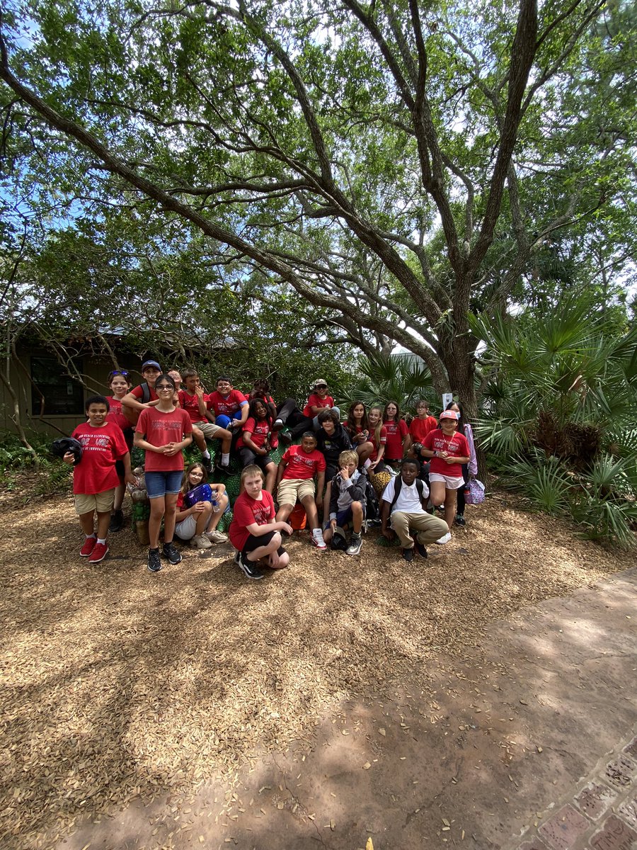 Michelle Tamblyn tweet media