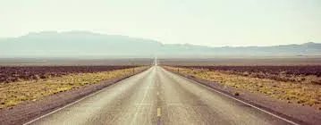 Carol Pepper tweet media