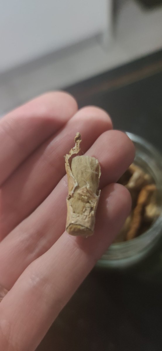 RadisIrradie's tweet photo. Pourquoi je retrouve un filtre de clope dans mon pot de cèpes extra séchés ? C'est bien ça nan ?

J'ai tapé mon meilleur croc dedans. 😭

Je précise, que je ne fume pas..
J'ai pas vu ça dans la composition du pot..

@Leclerc https://t.co/4E7mYVqvxk