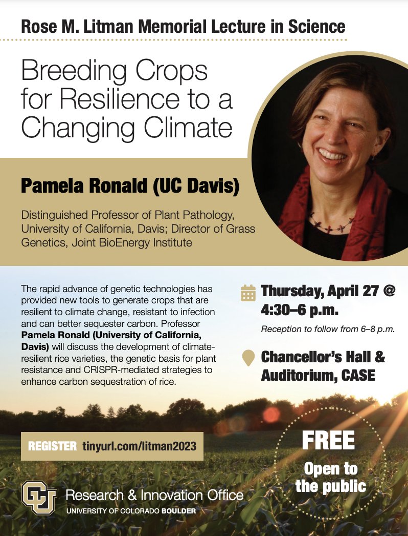 As the climate changes, so too much our agricultural practices and technologies. Check out the lecture this Thursday, 4:30-6pm, by Dr. Pamela Ronald on how to breed crops for more resilience
