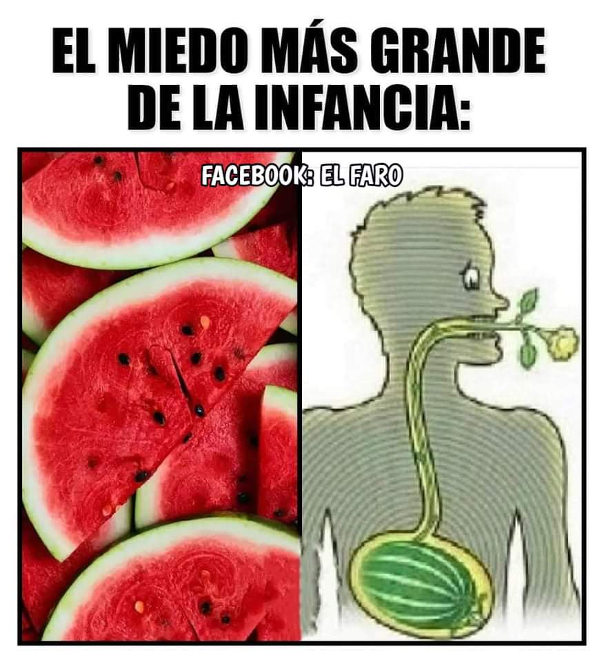 maisaecu's tweet photo. Siii verdad, ninguna pepita sinooo 😫😫😫 tampoco chicle que se pegaba en las tripas jejeje https://t.co/q3okITufkr