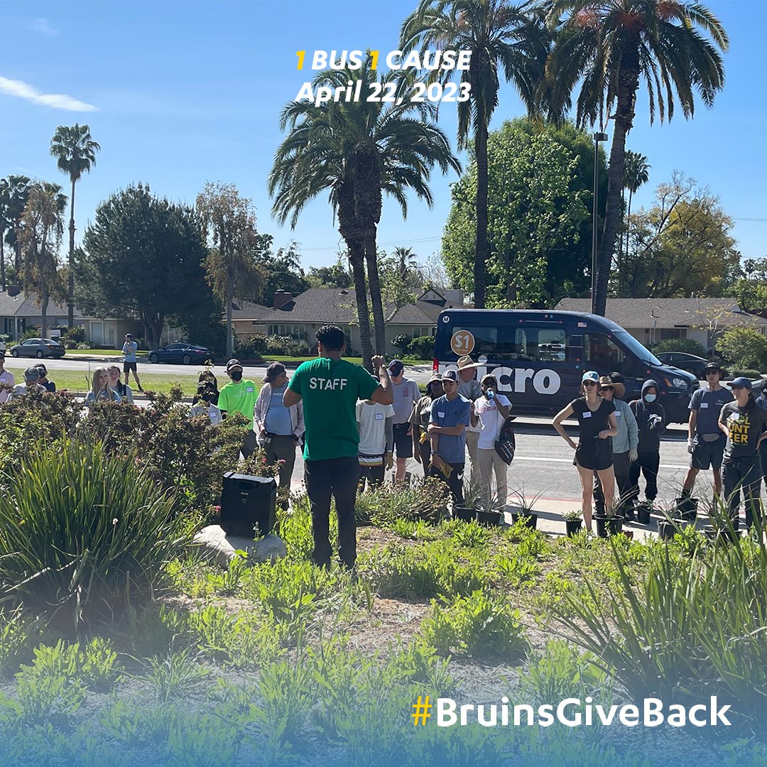 UCLAVolunteer tweet picture