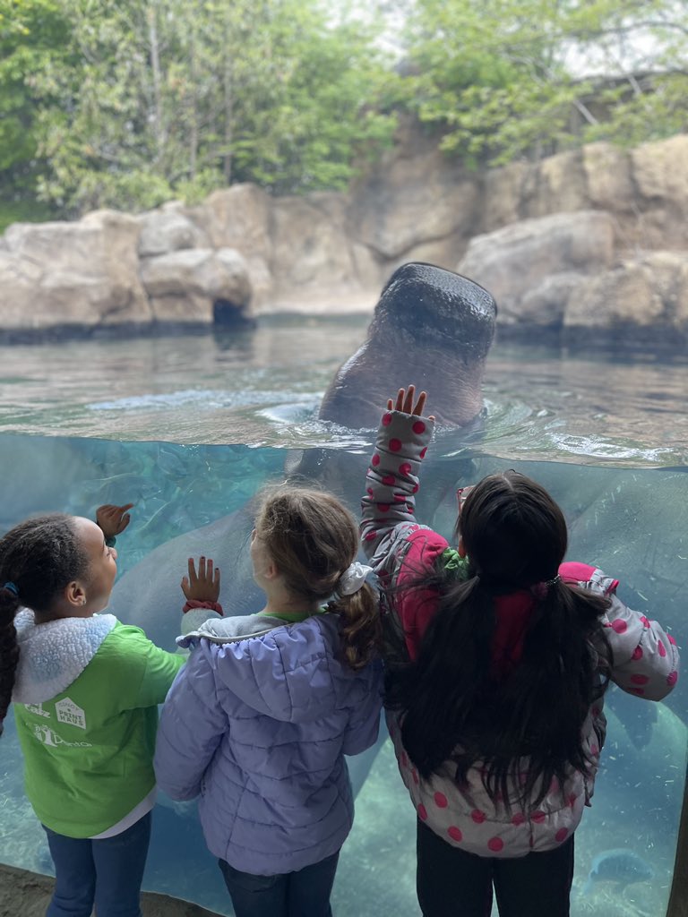 The biggest smiles from these kiddos after a day at the zoo! <a href="/Creeksidetweet/">Creekside ECS</a>