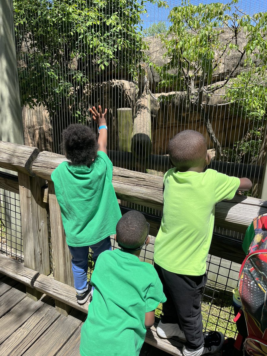 mbullock24's tweet photo. @EaglesSouthwest @MsBryant19 
PreK had a roaring good time at the zoo today! https://t.co/IfosouhZYV