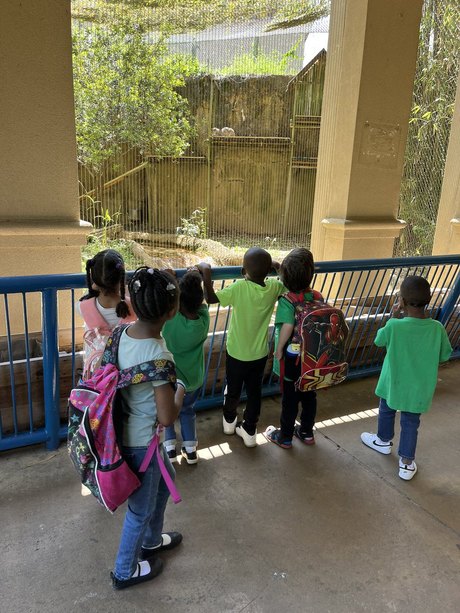 mbullock24's tweet photo. @EaglesSouthwest @MsBryant19 
PreK had a roaring good time at the zoo today! https://t.co/IfosouhZYV
