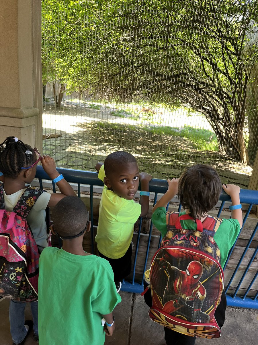 mbullock24's tweet photo. @EaglesSouthwest @MsBryant19 
PreK had a roaring good time at the zoo today! https://t.co/IfosouhZYV
