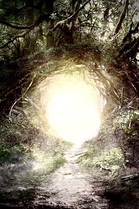 Agent102SW's tweet image. It mocks me.