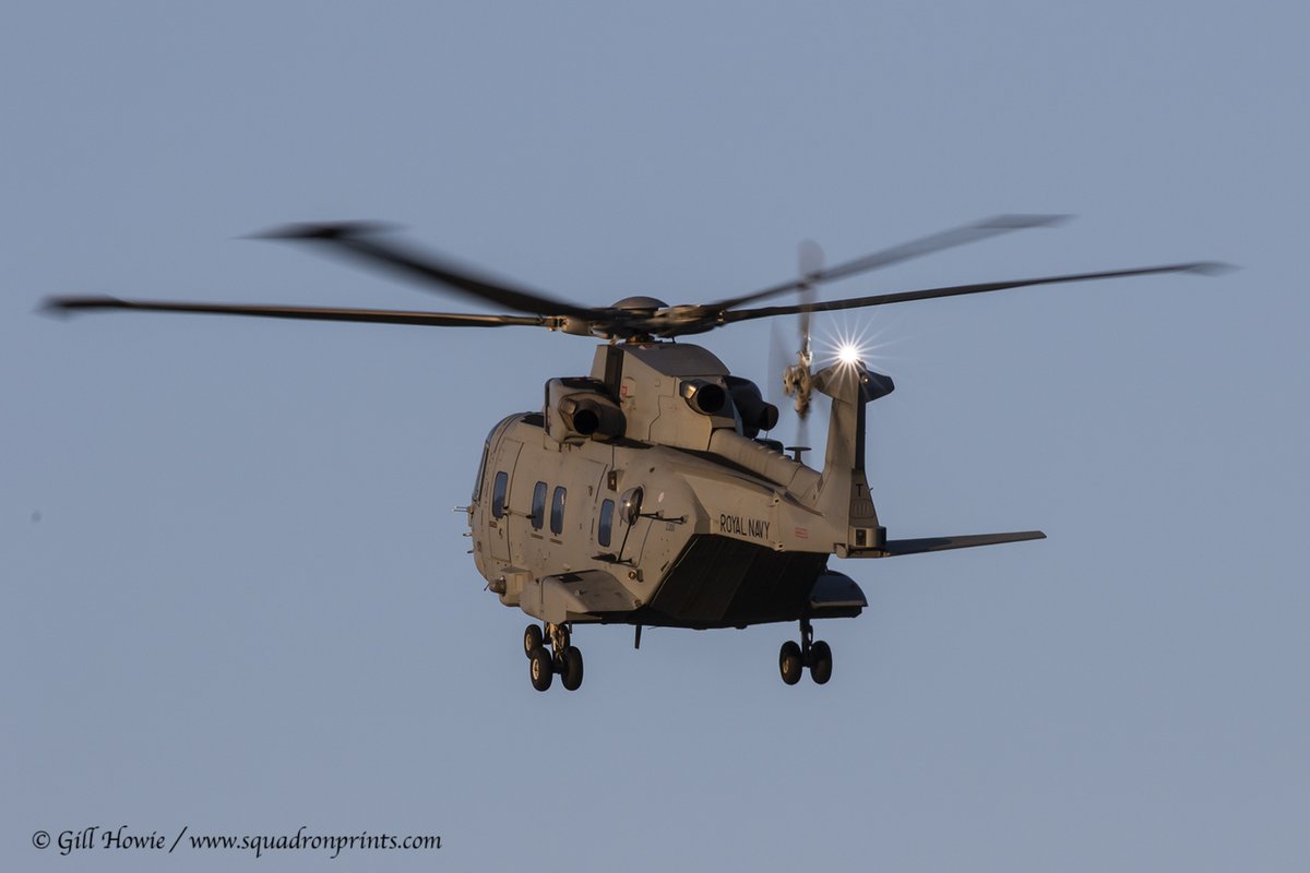 Squadron Prints tweet media