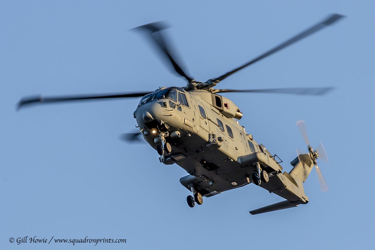 Squadron Prints tweet media