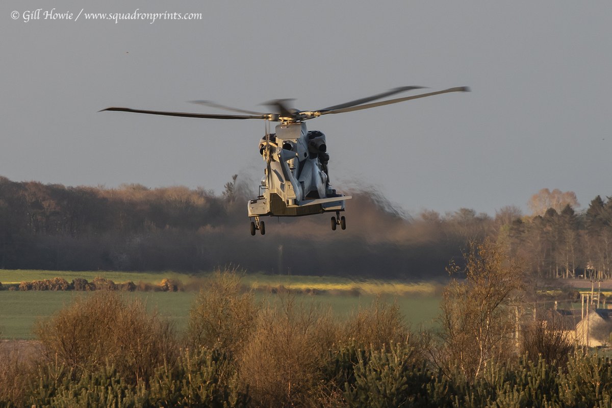Squadron Prints (@squadronprints) on Twitter photo Arbroath's RM Condor welcomed back an 846 NAS Merlin HC4 helicopter this evening. Based at RNAS Yeovilton in Somerset, it is believed that more may follow in the next few days to complete a training course as happened last year. <a href="/846NAS/">846 Naval Air Squadron</a> <a href="/RNinScotland/">Royal Navy in Scotland</a> @Rich_Bartram <a href="/RNASYeovilton/">RNAS Yeovilton</a> Arbroath's RM Condor welcomed back an 846 NAS Merlin HC4 helicopter this evening. Based at RNAS Yeovilton in Somerset, it is believed that more may follow in the next few days to complete a training course as happened last year. <a href="/846NAS/">846 Naval Air Squadron</a> <a href="/RNinScotland/">Royal Navy in Scotland</a> @Rich_Bartram <a href="/RNASYeovilton/">RNAS Yeovilton</a>
