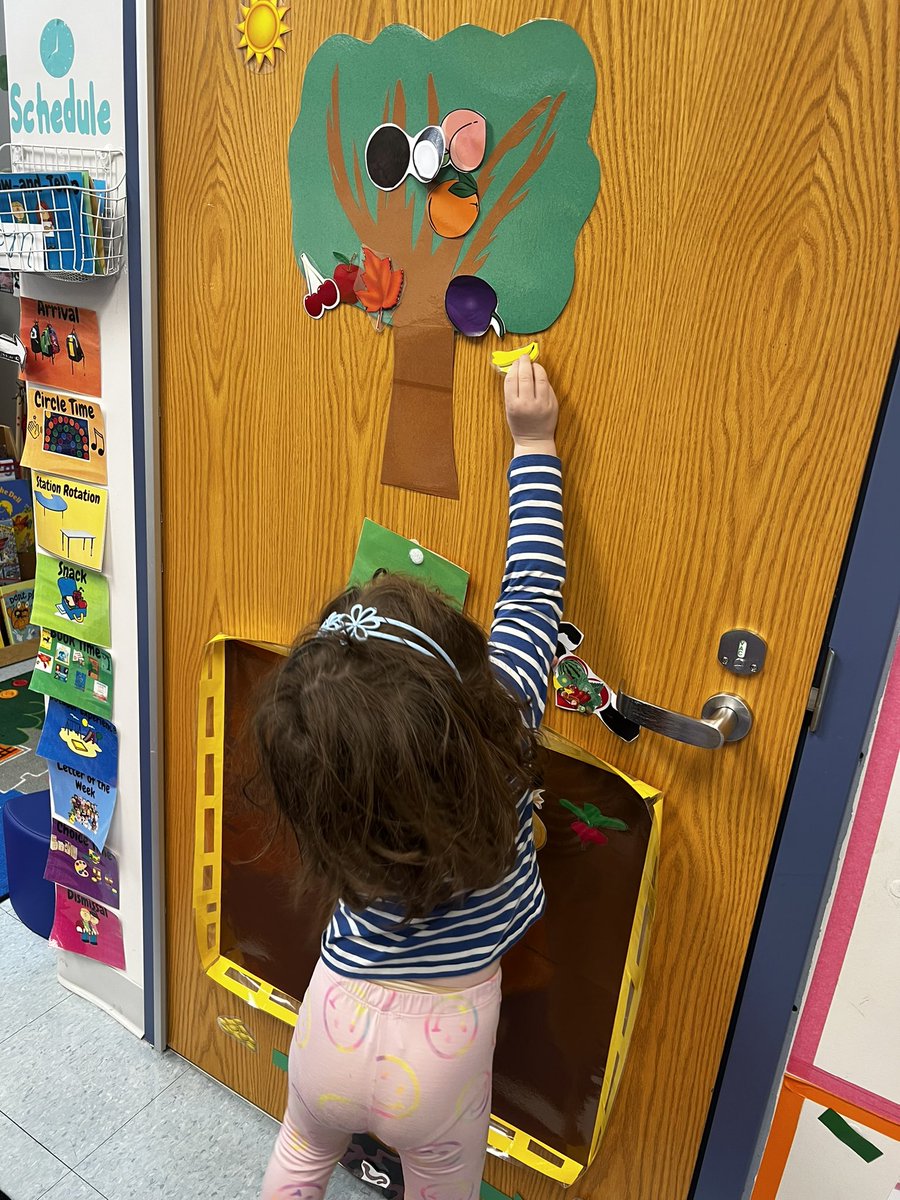 slevin_prek's tweet photo. Does it grow on a tree or in the garden? Give me a fruit or a vegetable and I can tell you! 🌳 🪴 #fhleads #gardenstudy https://t.co/aaokIEV2DA
