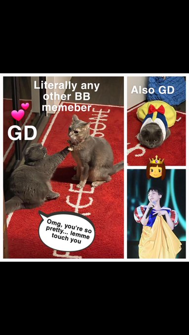 He loves them so much 💕💕💕  Also, Princess Zoagon ✨️👑✨️  #GDRAGON #BIGBANG  @YG_GlobalVIP https://t.c<a href="/tag/gdragon"class="tags">#GDRAGON</a><a href="/tag/bigbang"class="tags">#BIGBANG</a>